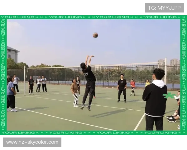 武汉排球队的拼搏之路挑战赛特别报道展现奋斗精神与团队力量